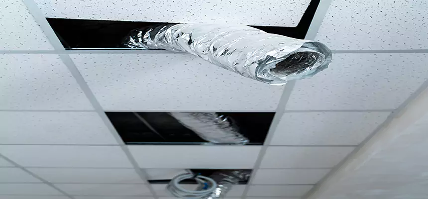 Affordable HVAC Sanitizing After Pest Removal in Pompano Beach