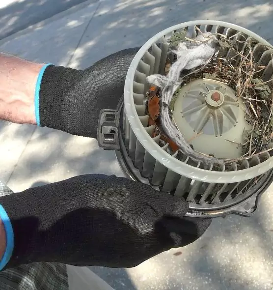 About Air Duct Mice Removal in Pompano Beach, FL