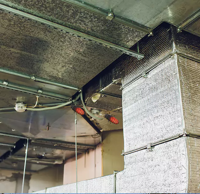 Why Homeowners & Businesses Trust Us in Pompano Beach, FL?