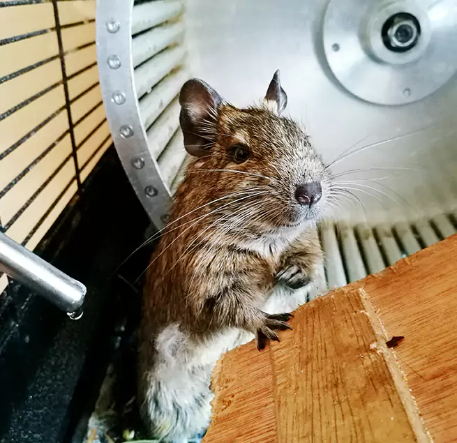 Why Homeowners & Businesses Trust Us Pompano Beach, FL