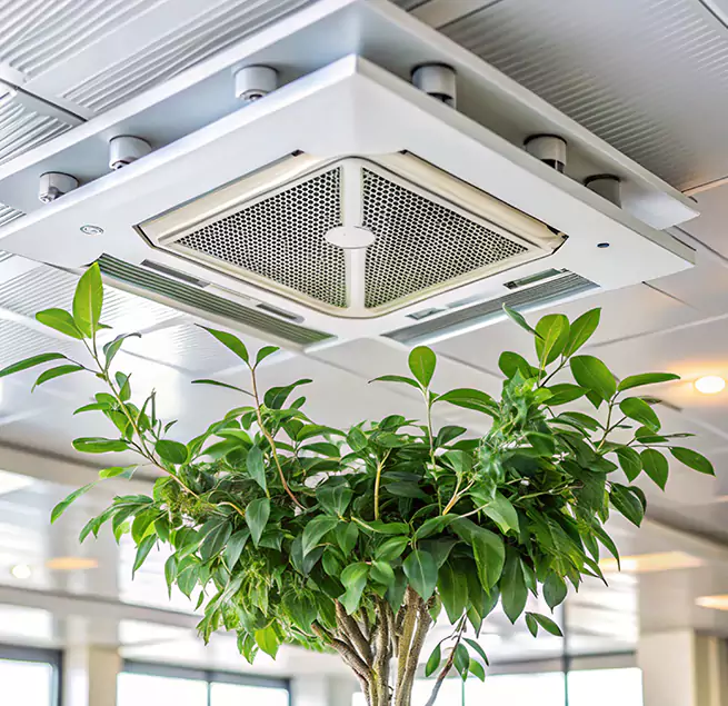 Why Homeowners & Businesses Trust Us in Pompano Beach, FL?