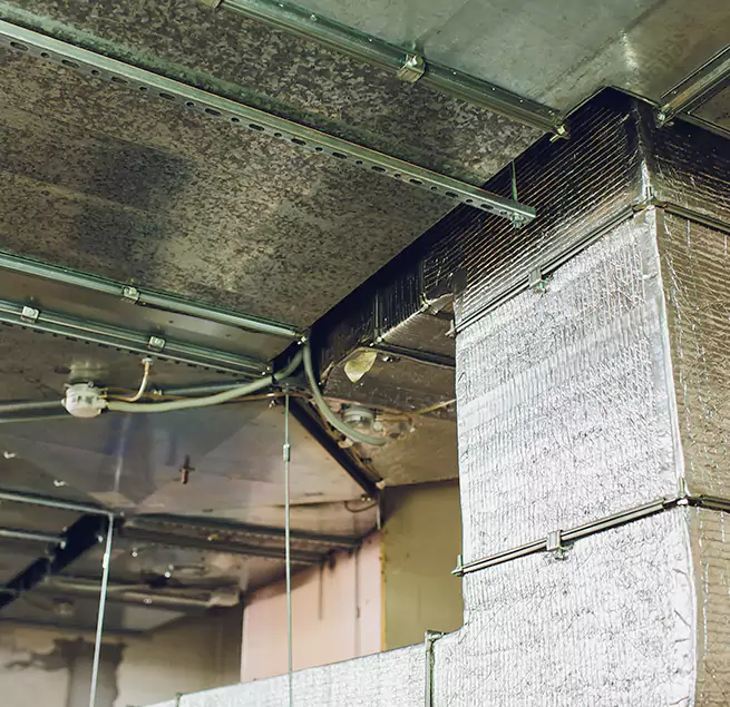 Why Homeowners & Businesses Trust Us in Pompano Beach, FL?